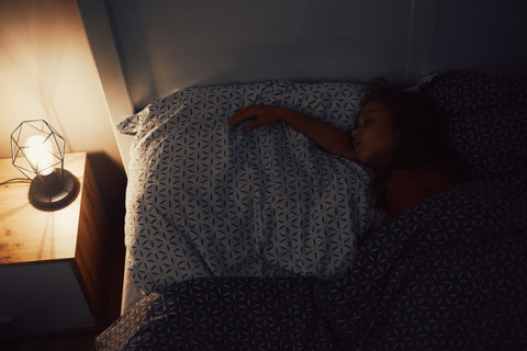 Sleep & Insomnia Guided Journal | CBT-I Based