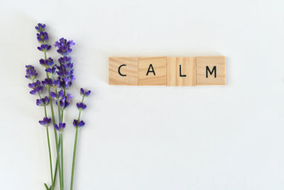 Inner Peace Bundle | Journal + Toolkit + Kit | ZipHealthy