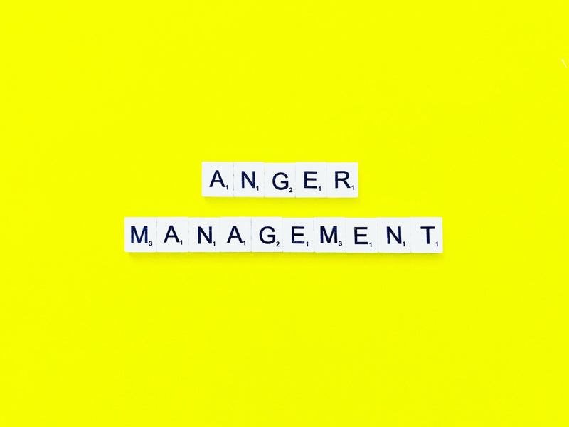 Anger Management Toolkit — ZipHealthy Wellness Products