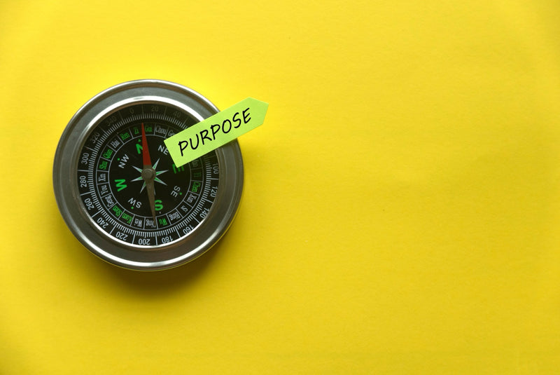 Career Transition & Purpose Toolkit — ZipHealthy Wellness Products