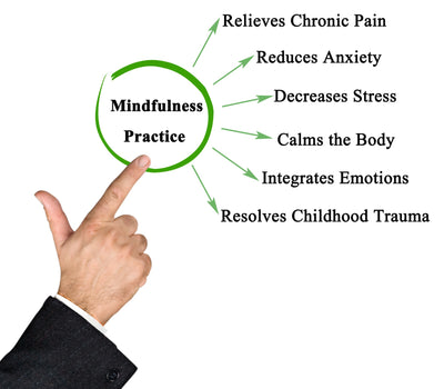DBT Skills Toolkit | Clinician-Designed | ZipHealthy
