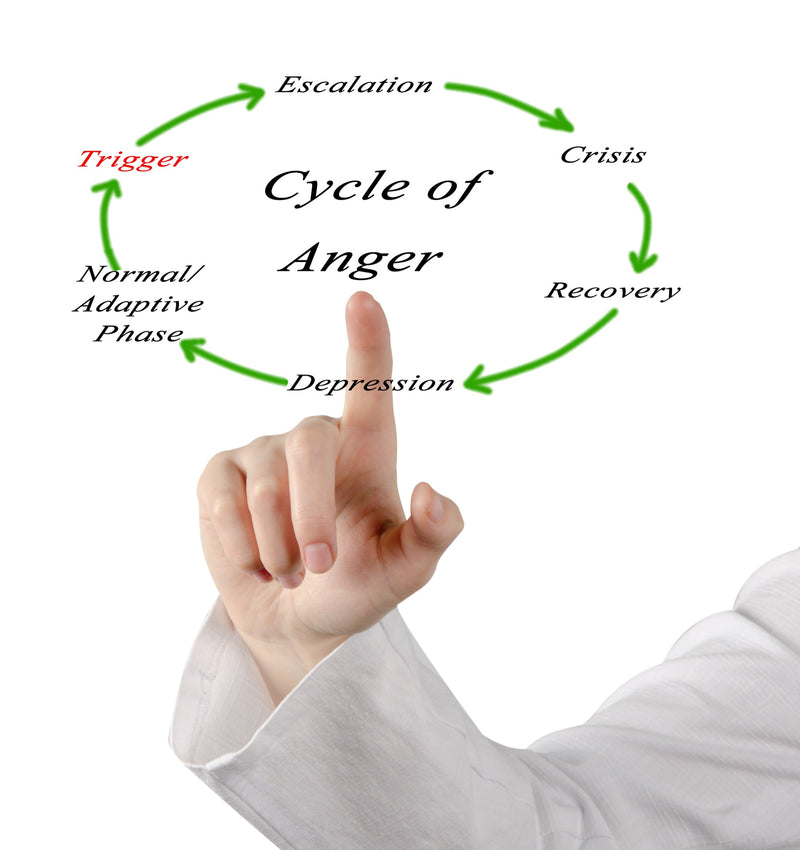 Emotional Regulation Mastery Toolkit — ZipHealthy Wellness Products
