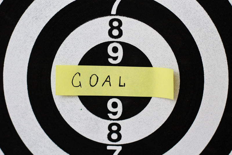 Goal Setting & Accountability Toolkit — ZipHealthy Wellness Products