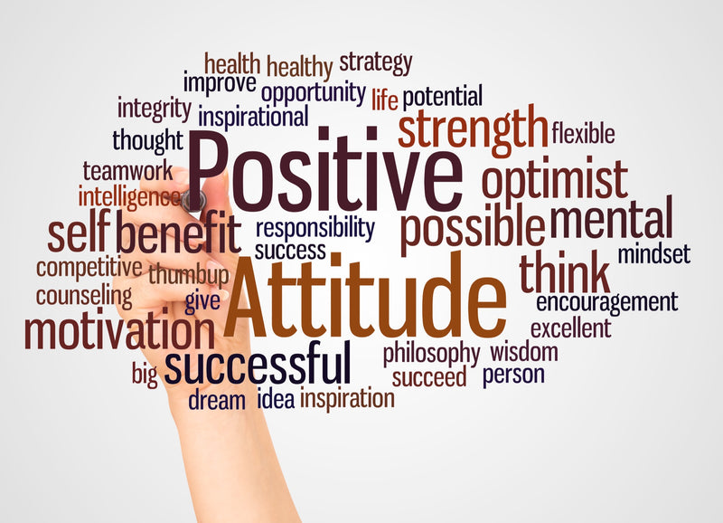 Positive Psychology & Strengths Toolkit — ZipHealthy Wellness Products