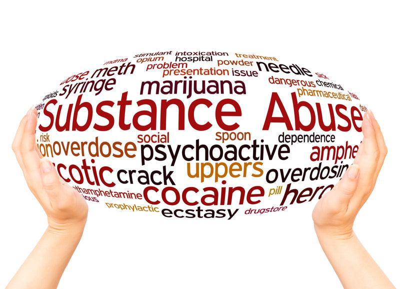 Substance Use Recovery Toolkit — ZipHealthy Wellness Products
