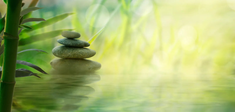 First-Generation & Multicultural Wellness Toolkit | ZipHealthy